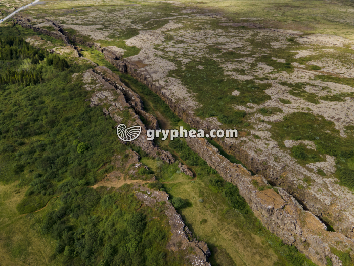 Zone de fracturation de la croûte terrestre (Thingvellir, Islande) - gryphea.com